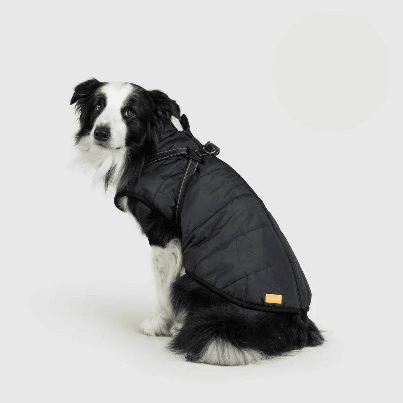 Allwetter-Hundemantel 3-in-1