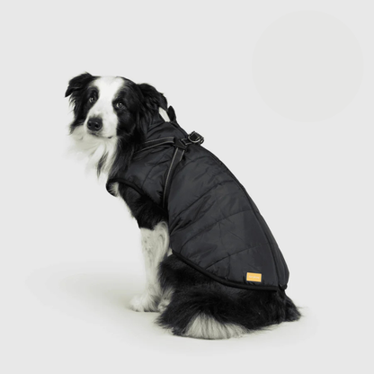 Allwetter-Hundemantel 3-in-1