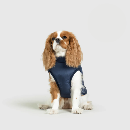 Allwetter-Hundemantel 3-in-1