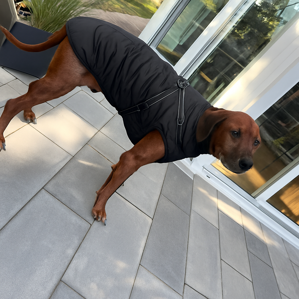 Allwetter-Hundemantel 3-in-1