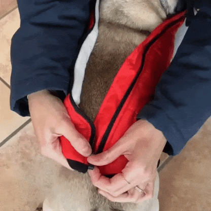 Allwetter-Hundemantel 3-in-1